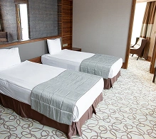 Hotelkamer met twee eenpersoonsbedden en een elegante inrichting, comfortabele accommodatie met een klassiek interieur.